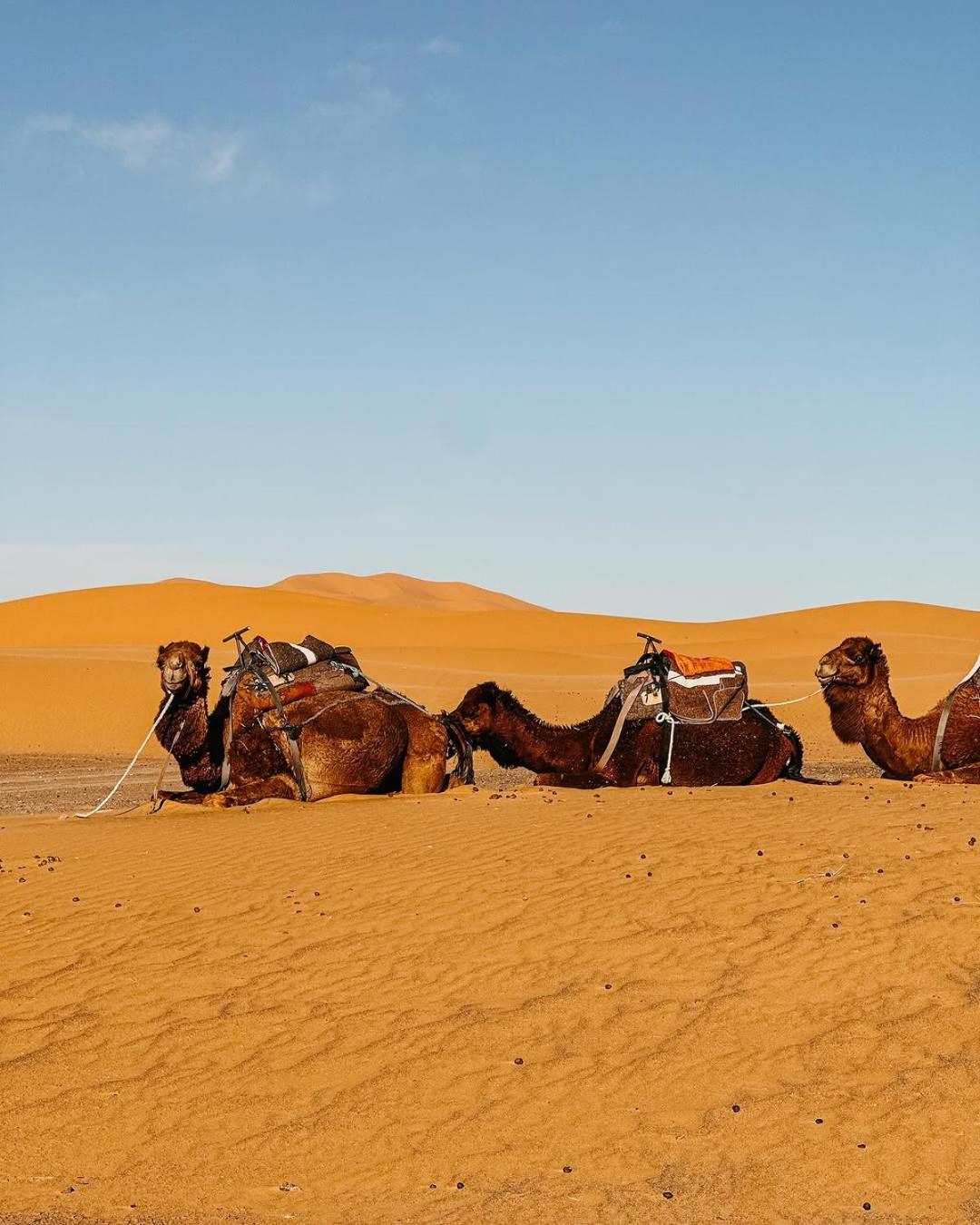 Merzouga Morocco Desert Luxury Camp Мерцуга Екстериор снимка
